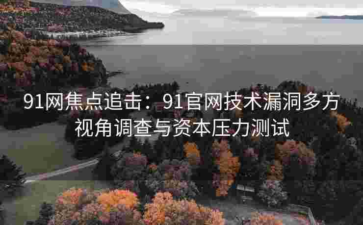91网焦点追击：91官网技术漏洞多方视角调查与资本压力测试