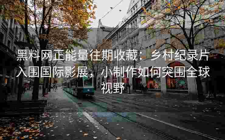 黑料网正能量往期收藏：乡村纪录片入围国际影展，小制作如何突围全球视野