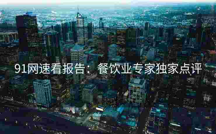 91网速看报告：餐饮业专家独家点评