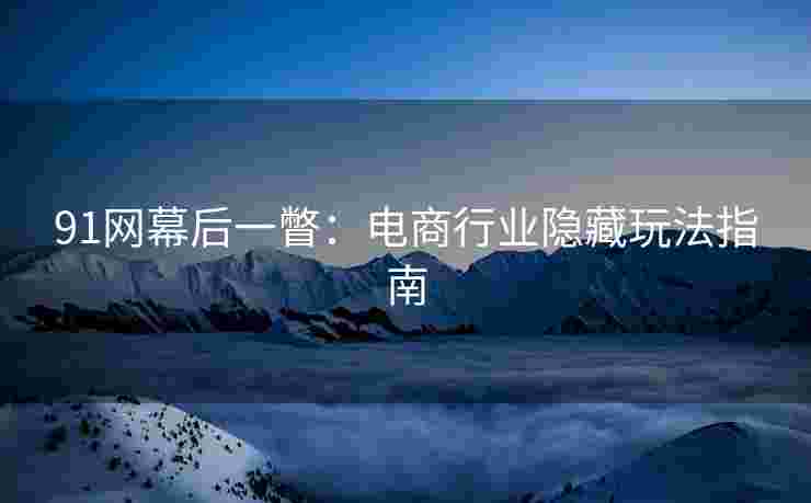 91网幕后一瞥：电商行业隐藏玩法指南
