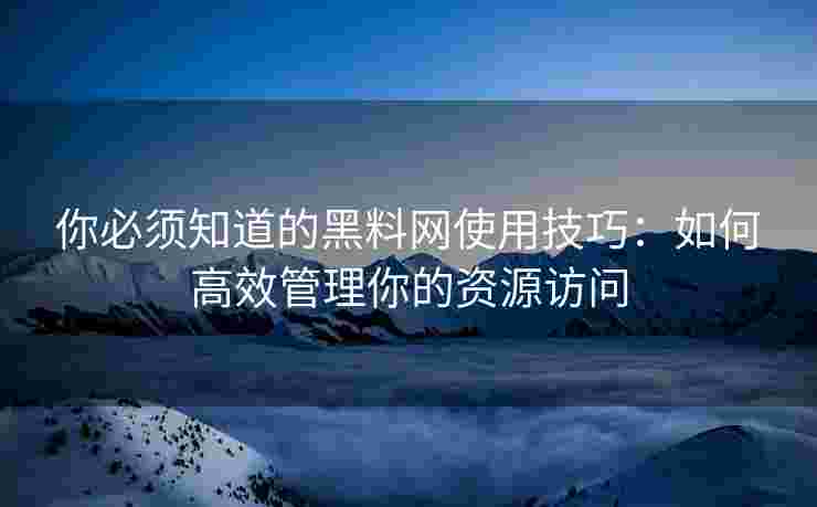 你必须知道的黑料网使用技巧：如何高效管理你的资源访问