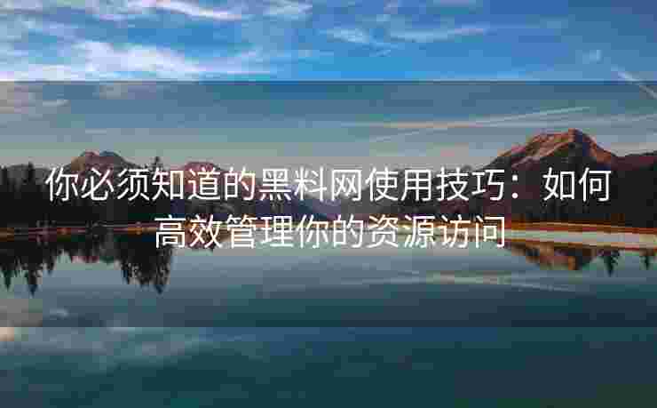 你必须知道的黑料网使用技巧：如何高效管理你的资源访问