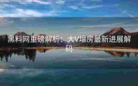 黑料网重磅解析：大V塌房最新进展解码