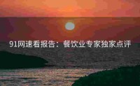 91网速看报告：餐饮业专家独家点评