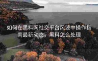 如何在黑料网社交平台风波中操作指南最新动态，黑料怎么处理