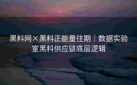 黑料网×黑料正能量往期｜数据实验室黑料供应链底层逻辑