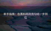 新手指南：在黑料网政商勾结一步到位