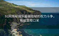 91网揭秘娱乐圈最隐秘的权力斗争，粉丝目瞪口呆