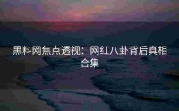 黑料网焦点透视：网红八卦背后真相合集