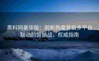 黑料网豪华版：剖析热度背后多平台联动的营销战，权威指南