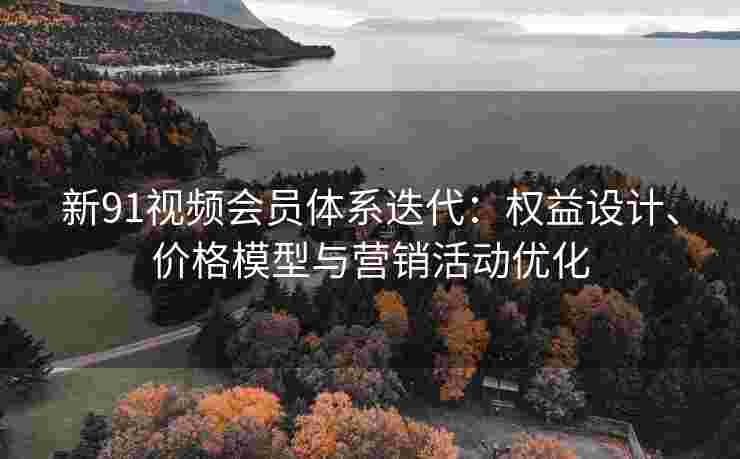 新91视频会员体系迭代：权益设计、价格模型与营销活动优化