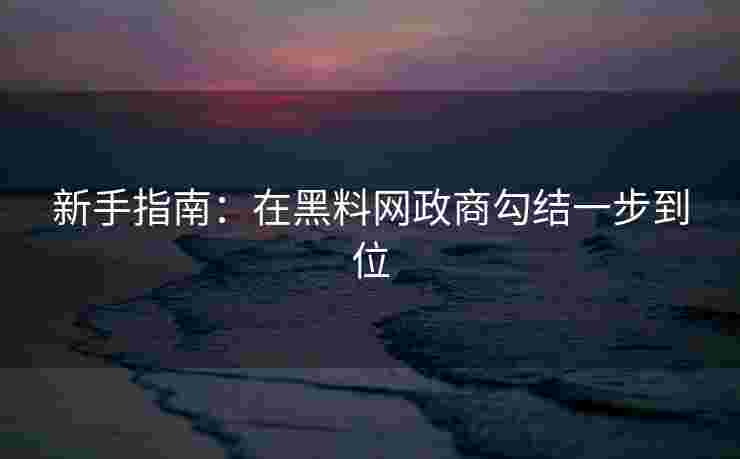 新手指南：在黑料网政商勾结一步到位