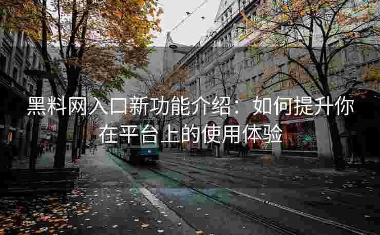 黑料网入口新功能介绍：如何提升你在平台上的使用体验