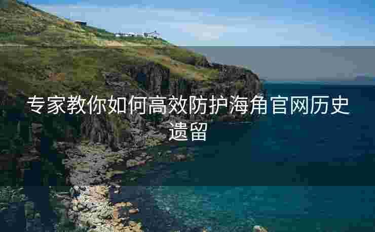 专家教你如何高效防护海角官网历史遗留