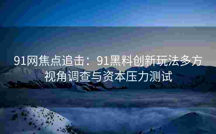 91网焦点追击：91黑料创新玩法多方视角调查与资本压力测试