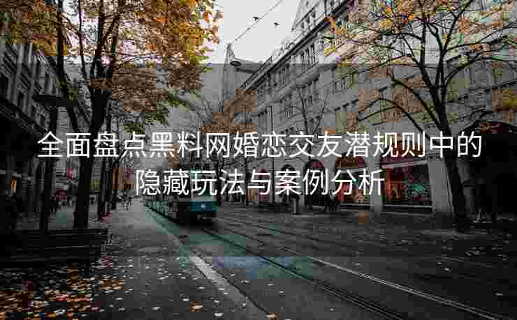 全面盘点黑料网婚恋交友潜规则中的隐藏玩法与案例分析