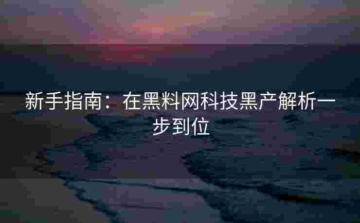 新手指南：在黑料网科技黑产解析一步到位